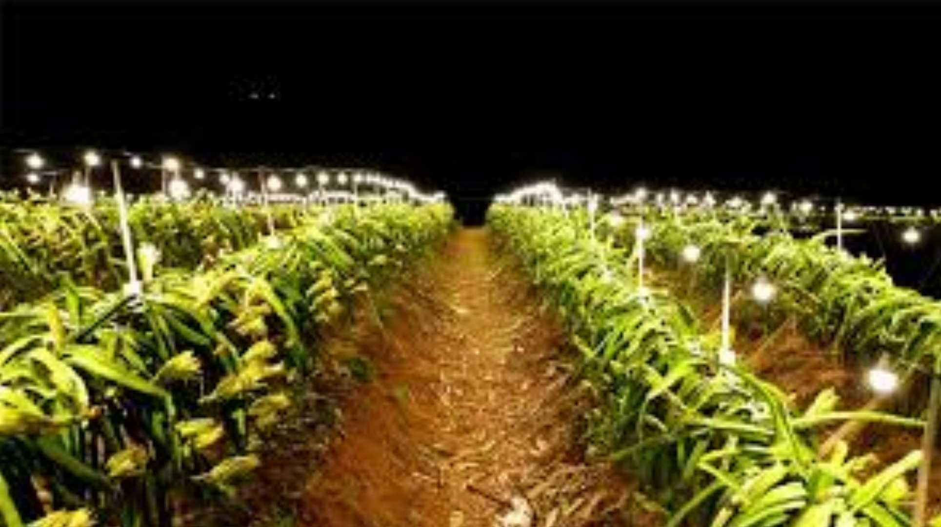 Microcomputer,Timer-30A